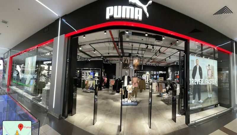 Puma (пума) Кривой Рог