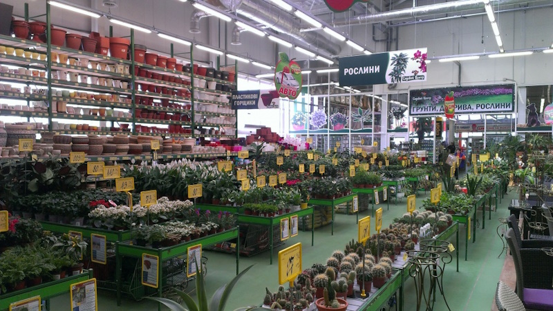 Эпицентр Кривой Рог