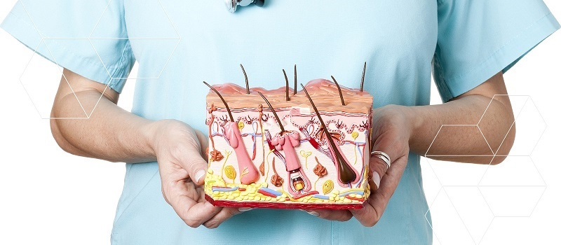 Дерматолог