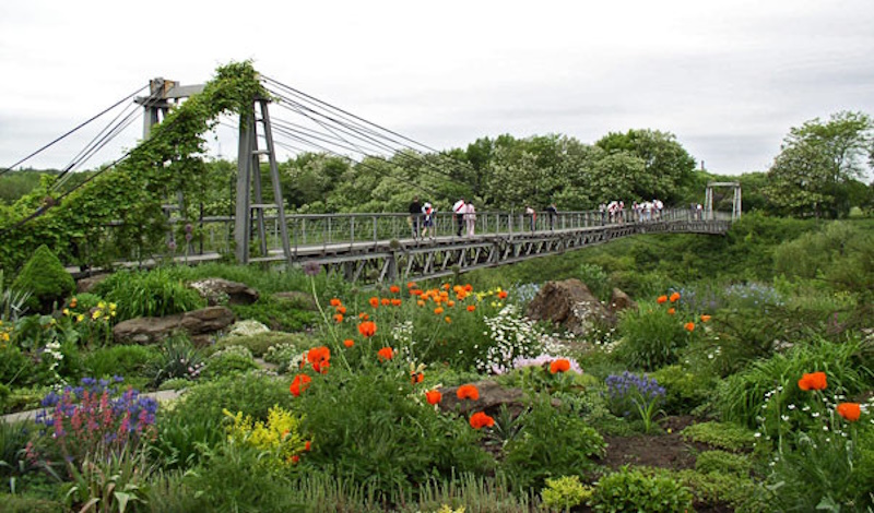 Ботанический сад Кривой Рог