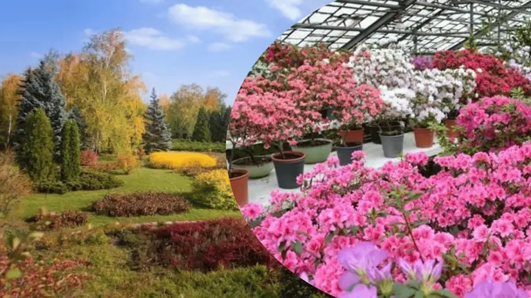 Ботанический сад Кривой Рог