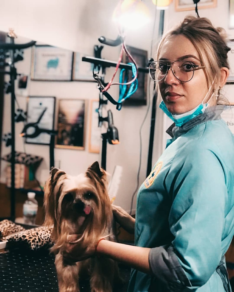 Ветеринарный госпиталь СТЕП в Кривом Роге