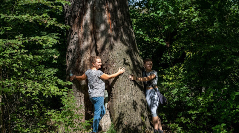 Факты про Кривой Рог