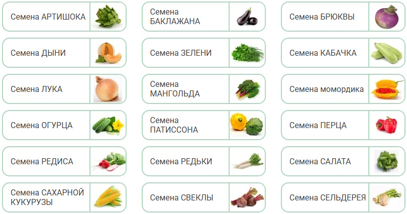 IMG_01 семена овощей